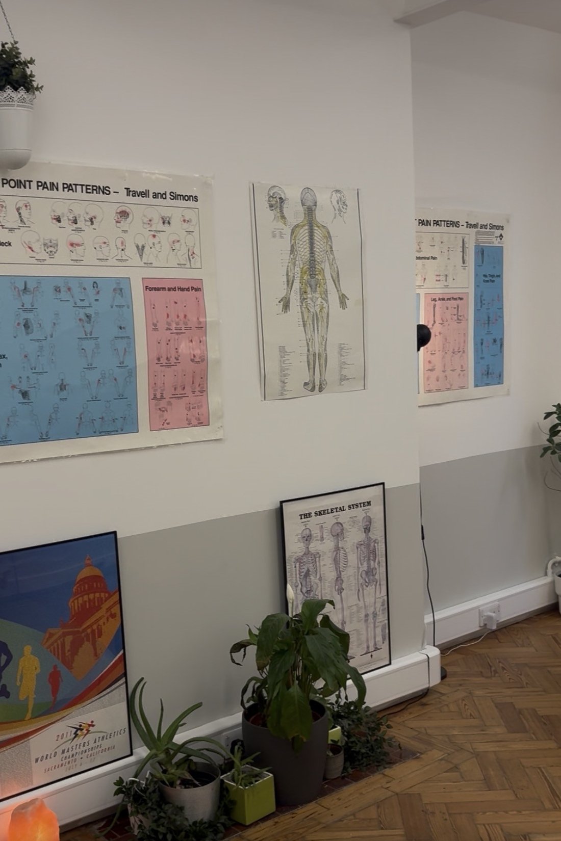Anatomical charts and a poster on the wall of a City of London clinic treatment room